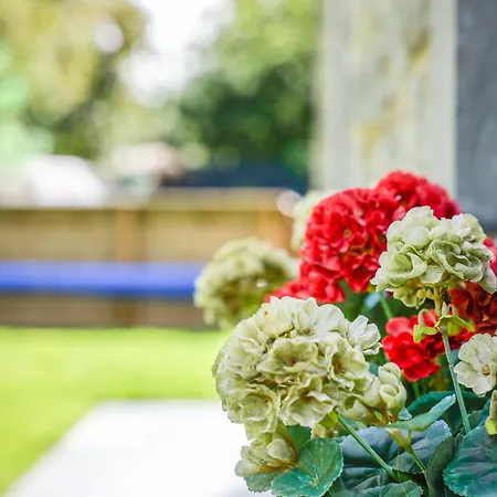 La Casa Del Cookie * Chimay